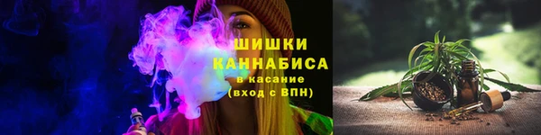 прущие грибы Абаза