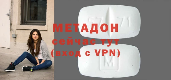 прущие грибы Абаза