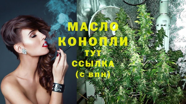 прущие грибы Абаза