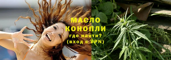 прущие грибы Абаза