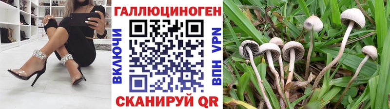 Псилоцибиновые грибы мухоморы купить Александровск